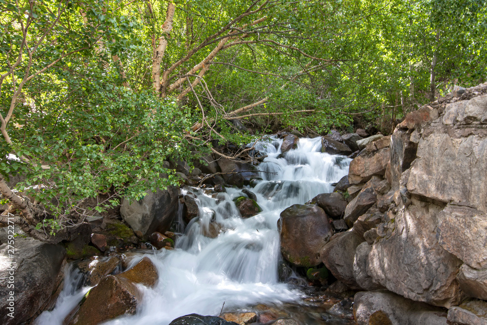 Mountain stream flowing between stones and green bushes. Blurred motion. Traveling in Kyrgyzstan Mountain stream flowing between stones and green bushes. Blurred motion. Traveling in Kyrgyzstan