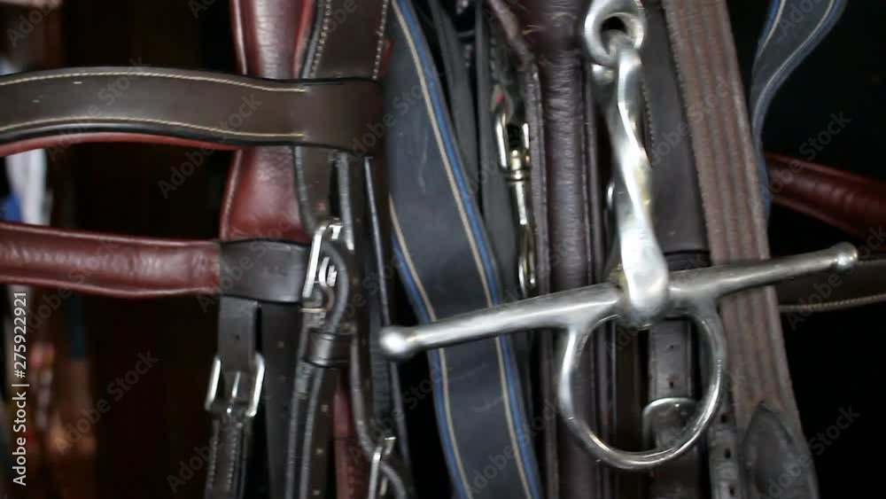 A variety of leather bridles, a snaffle and other ammunition, suspended on a hook to rotate in a circle A variety of leather bridles, a snaffle and other ammunition, suspended on a hook to rotate in a circle