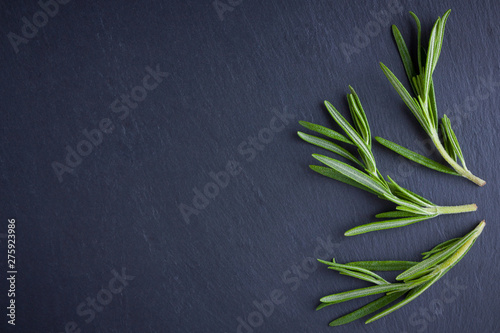 Rosemary branches on black background. Fresh rosemary on slate stone. Herbs for cooking meat dishes with copy space. Top view