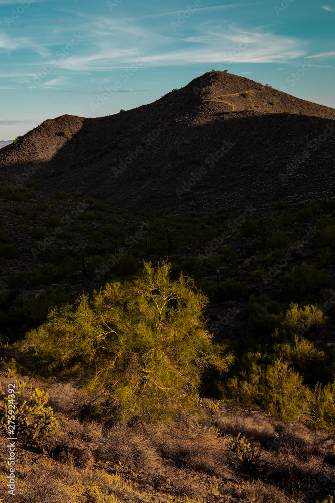 Trail peak and vegetation in the Sonoran Preserve at sunrise