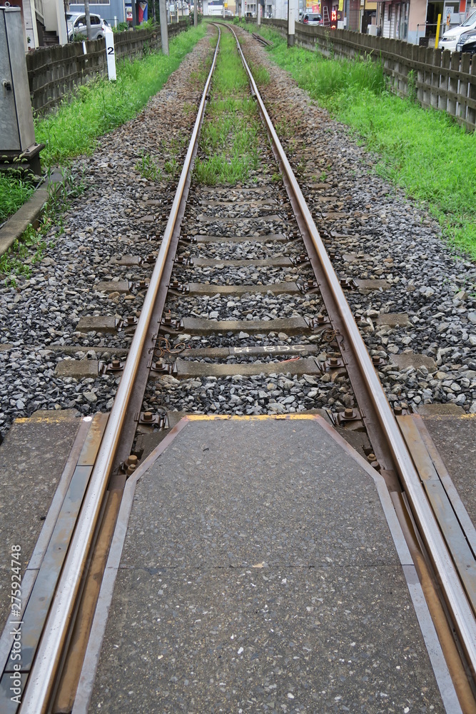 Fototapeta premium 雨上がりの夏草茂る流山線レール風景