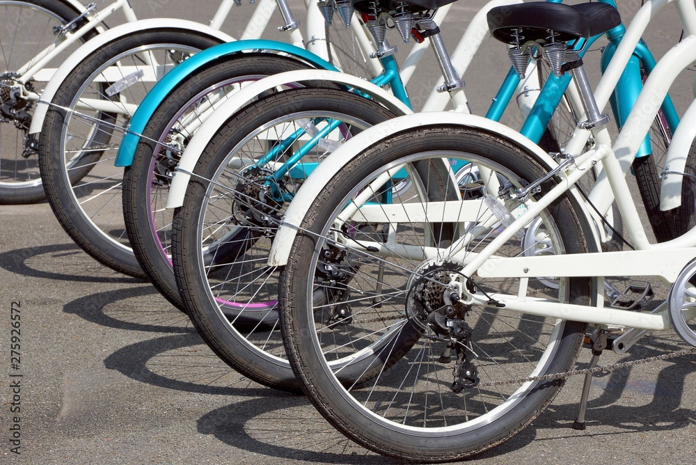 a row of white bicycles with wheels stand on the gray asphalt of a parking