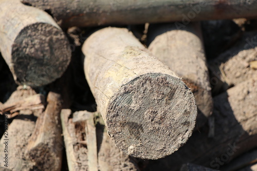 Pile with sandy wood logs as wooden construction waste, closeup