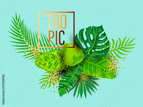 Green summer tropical background with exotic leaves. Place for text. Vector illustration for poster, web, flyer, party invitation, sale, ecological concept.