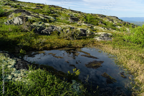 Swampiness of highland tundra in the north