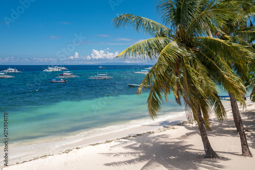 Amazing paradise Alona beach with palms in Bohol Panglao island, Philippines