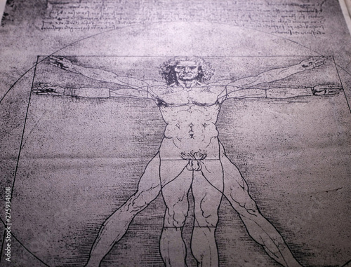 Anatomy Art Drawing
