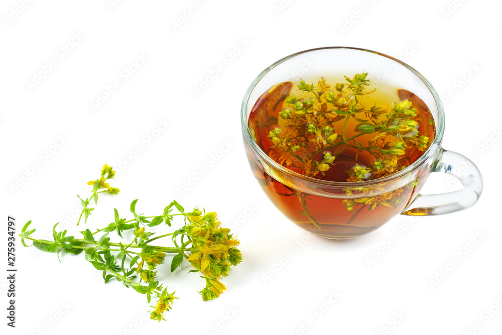 St. John's wort and herbal tea isolated on white background
