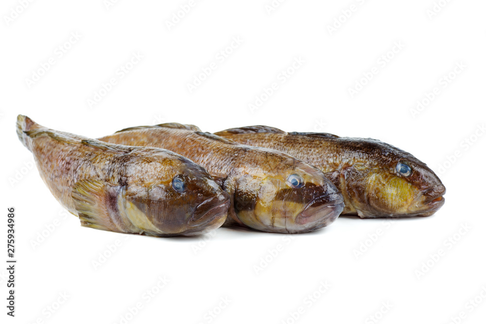 Three fresh round goby fishes isolated on white background