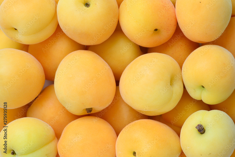 Ripe juicy orange apricots isolated on white background. Ripe juicy orange apricots isolated on white background.