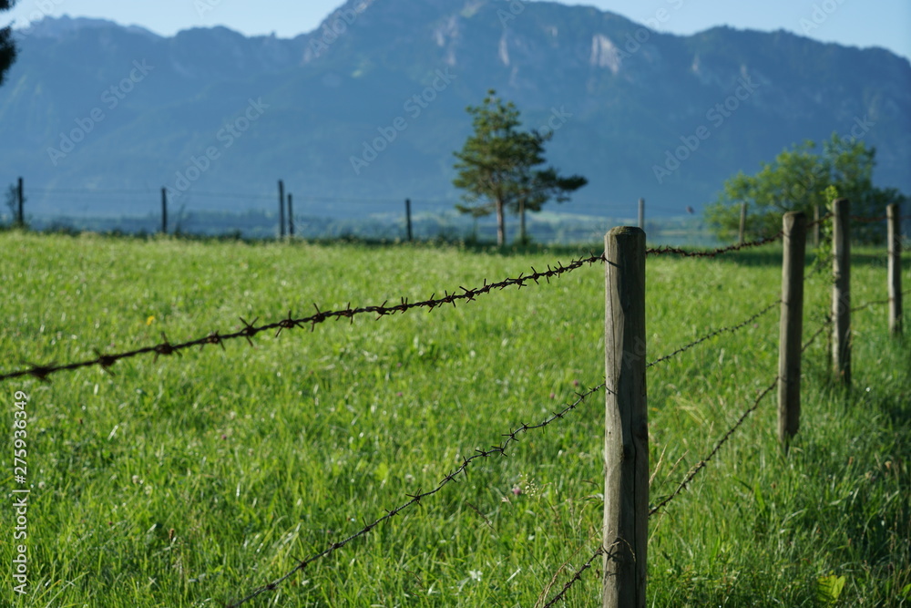 Obraz premium A barbed wire protects the game from walkers in Bavaria