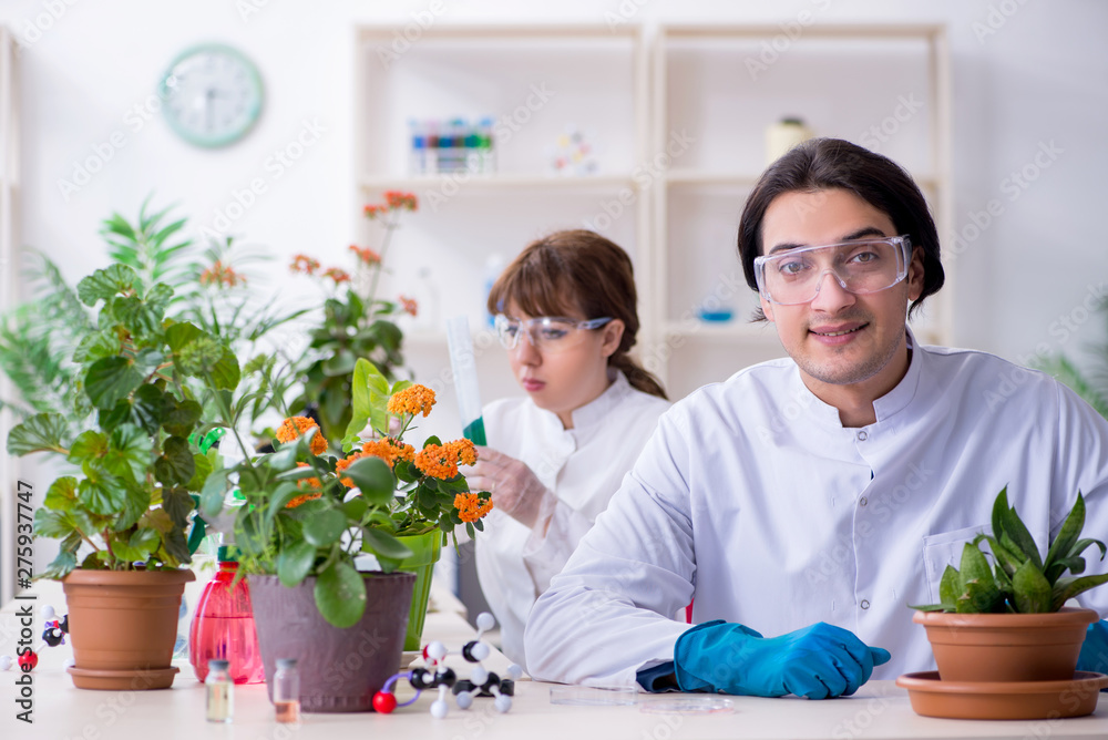 Two young botanist working in the lab 