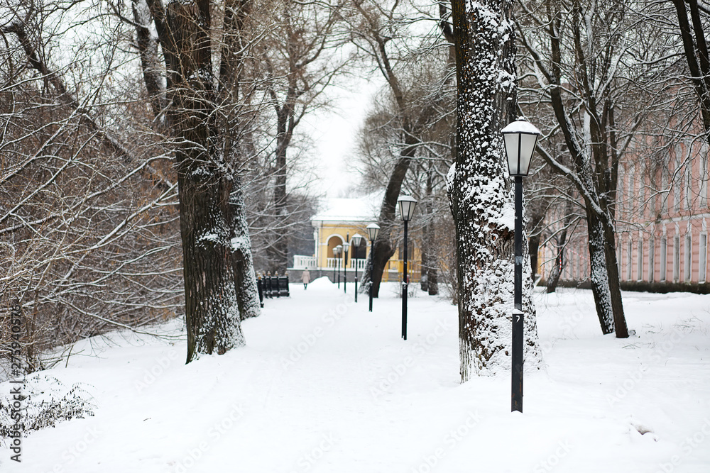 Naklejka premium Winter landscape of country fields and roads