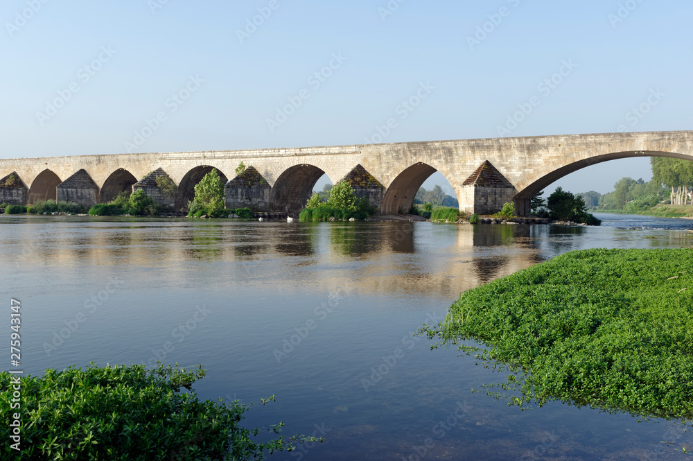 Beaugency old bridge in Loire valley