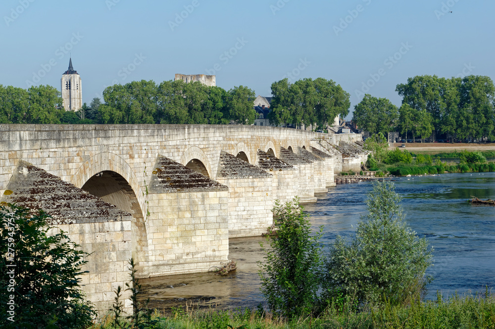 Beaugency old bridge in Loire valley