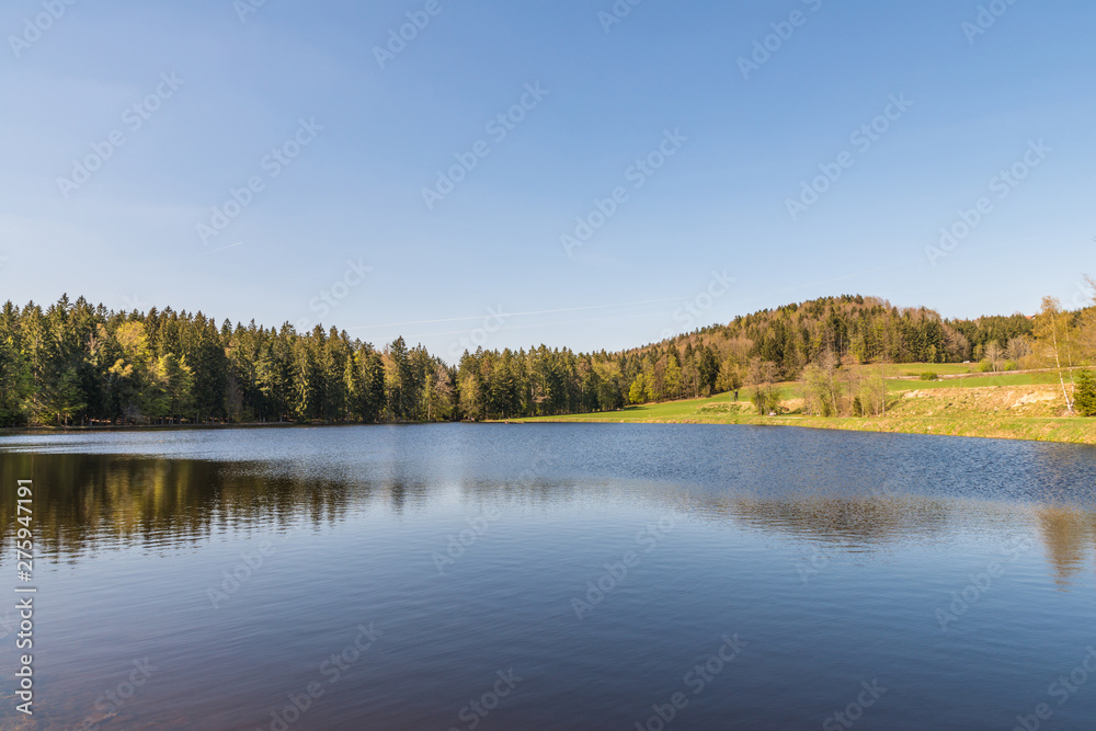 Stausee bei Großarmschlag im Bayerischen Wald, Deutschland