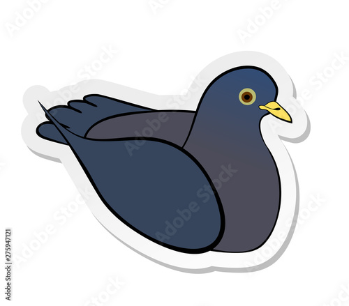 Vector illustration, sticker of grey pigeon in flat cartoon style isolated on white background