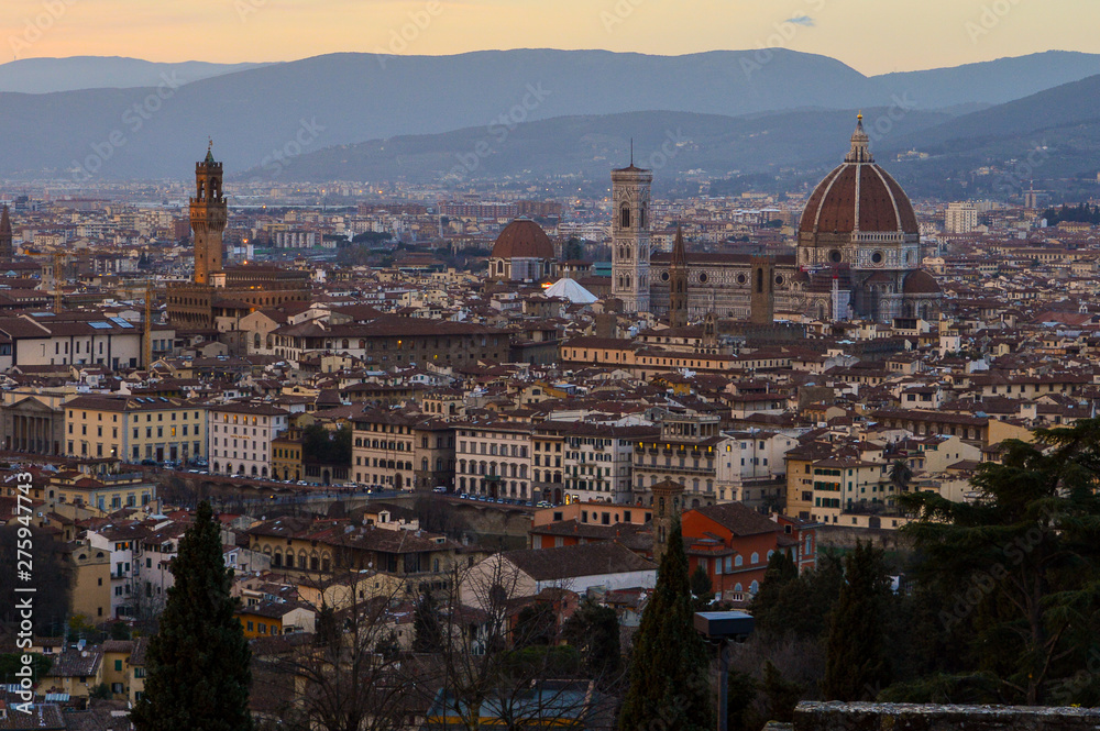 Florence skline