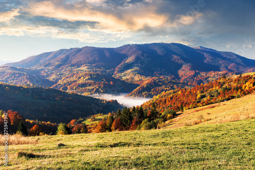beautiful autumn morning scenery in mountains. fog rising in the valley. mixed forest in fall foliage. weathered grass on the hillside meadows. clouds on the sky. conventional carpathian countryside