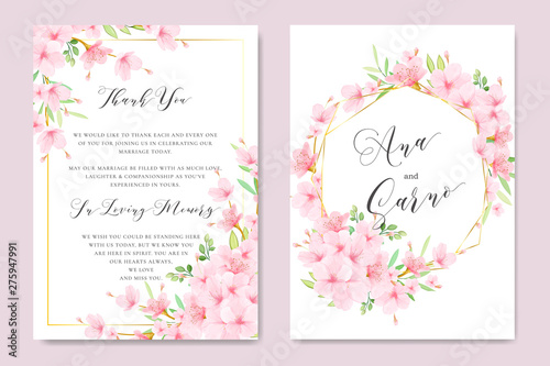 beautiful wedding Floral Cherry Blossom Frame and background