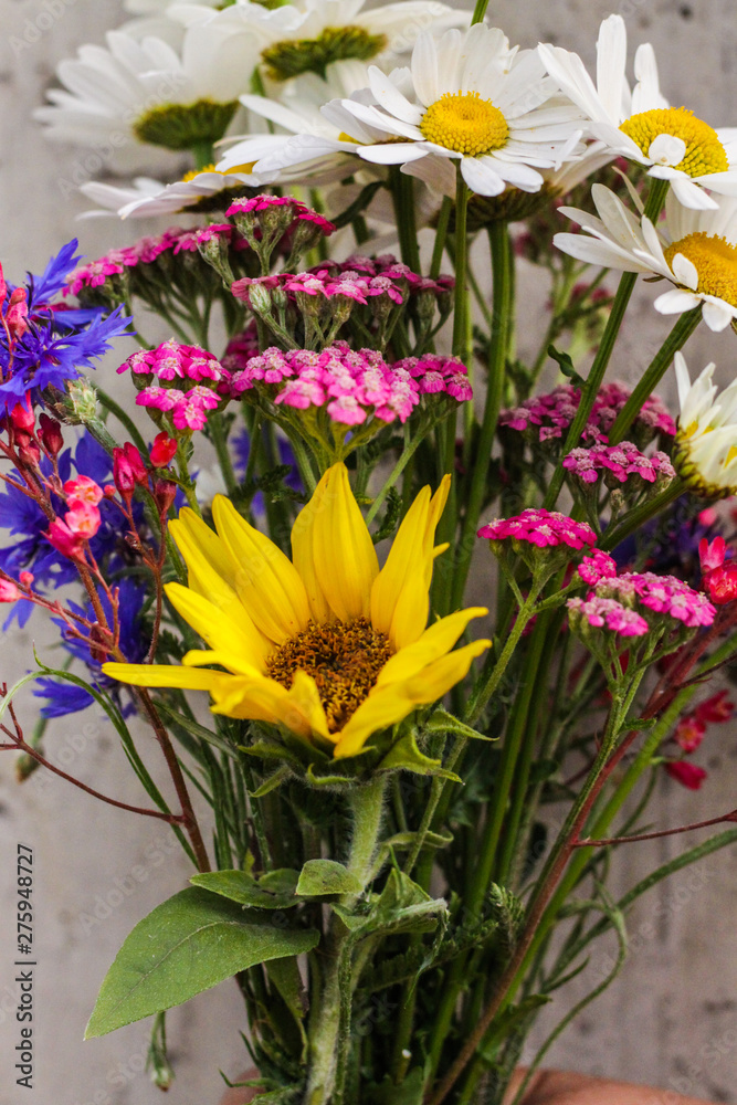 Bouquet of field flowers with sunflower chamomile, cornflowers