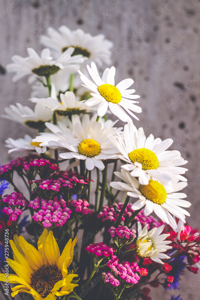 Fototapeta premium Bouquet of field flowers with sunflower chamomile, cornflowers