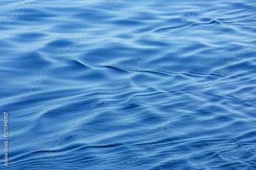 close up of a calm wave in the ocean in a soft backlight © Marion