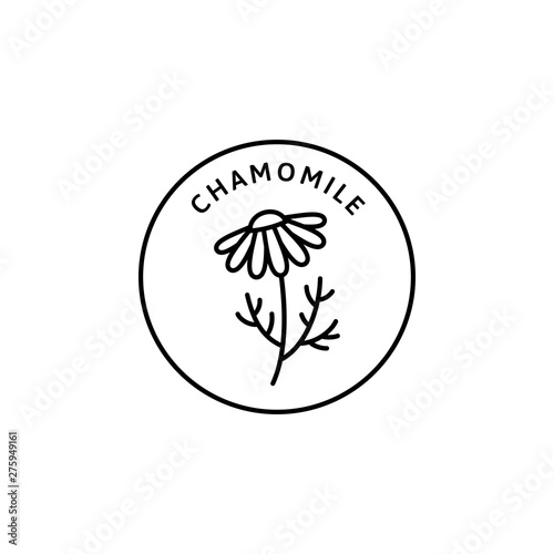 Chamomile Flower herbal organic badge and icon in trend linear style - Vector Logo Emblem of Medical Chamomile