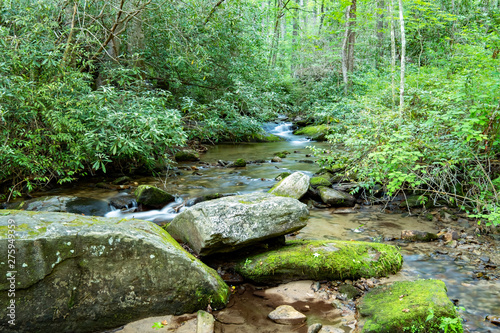 Laurel Fork Creek, Jocassee Gorges Wilderness Area, South Carolina