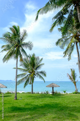 Plakat w ramie Coconut tree seaside.
