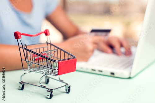 Woman holds credit card and makes online payment. Online shopping concept