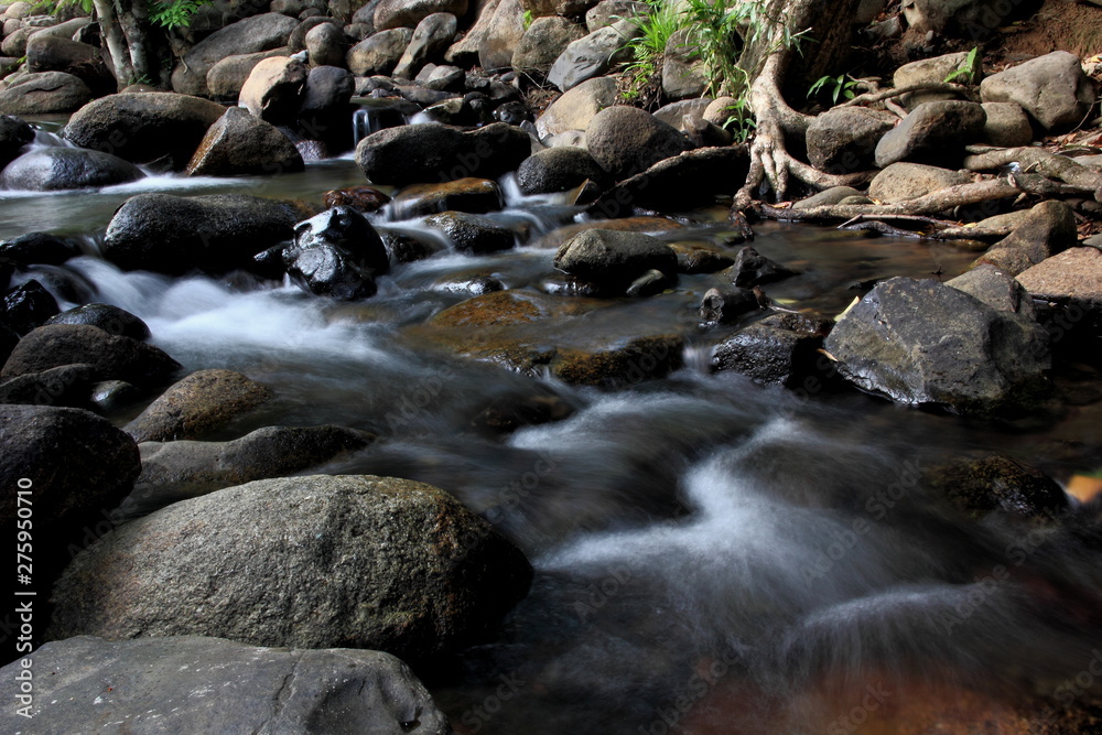 Forest river waterfall view.Mountain stream with blurred motion of waterfall. Forest river waterfall view.Mountain stream with blurred motion of waterfall.