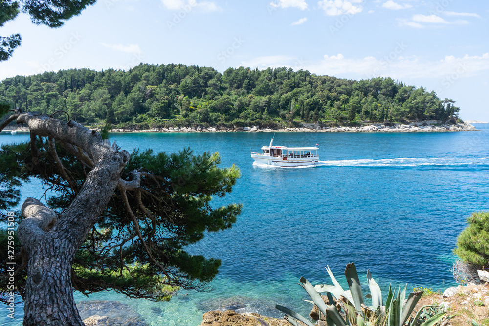 Yacht enters in the bay in a blue turquoise adriatic sea. Coast with green forest in Croatia with boat excursion.