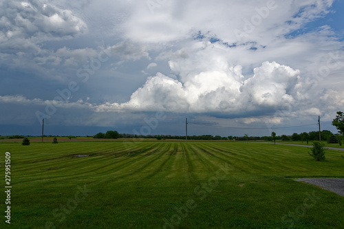 Green Grass with Storm Clouds