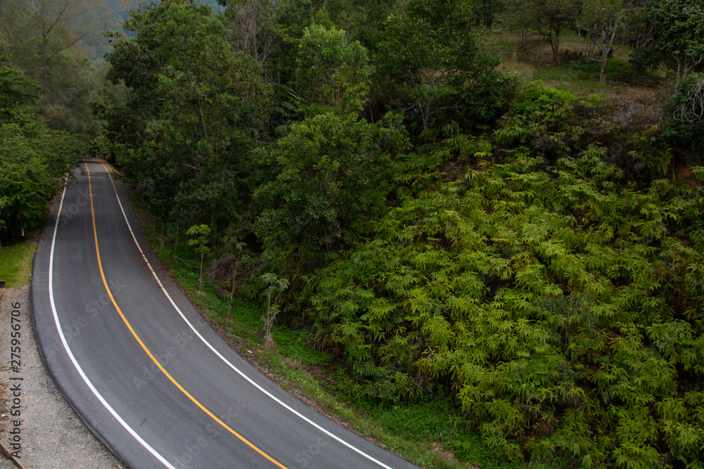 Fototapeta premium Asphalt road through in the forest.