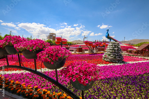 Fényképezés Konya / Turkey, June 7, 2019, Konya Selcuklu Flower park (cicek park)