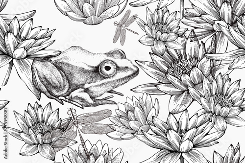 Wallpaper Mural Frog with water lilies, seamless pattern. Hand-drawn, vector illustration. Torontodigital.ca