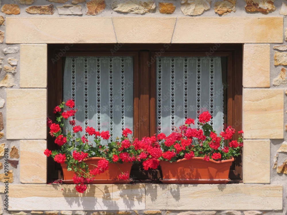 Beautiful wooden window decorated with red flowers of intense colors