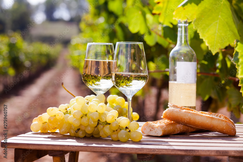 Fototapeta premium glass of White wine ripe grapes and bread on table in vineyard