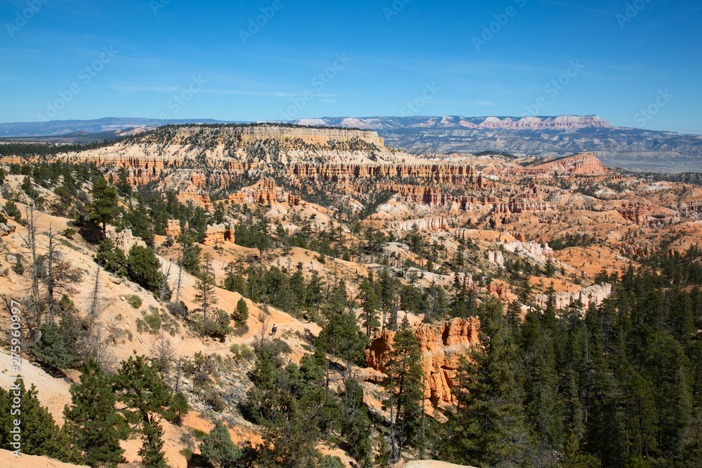 Bryce canyon