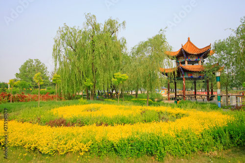 Greening plants in a park