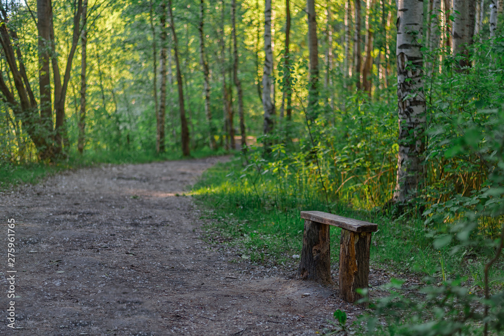 Old wood bench in a forest isolated with a blurred background Old wood bench in a forest isolated with a blurred background