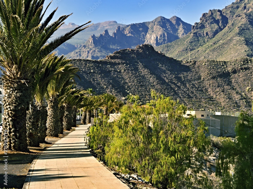 A path in Adeje, Tenerife, on Mirador Gla y Fer, with Palmtrees and mountains