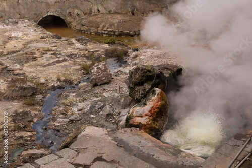 Details of the thermal spa, Furnas, Sao Miguel photo