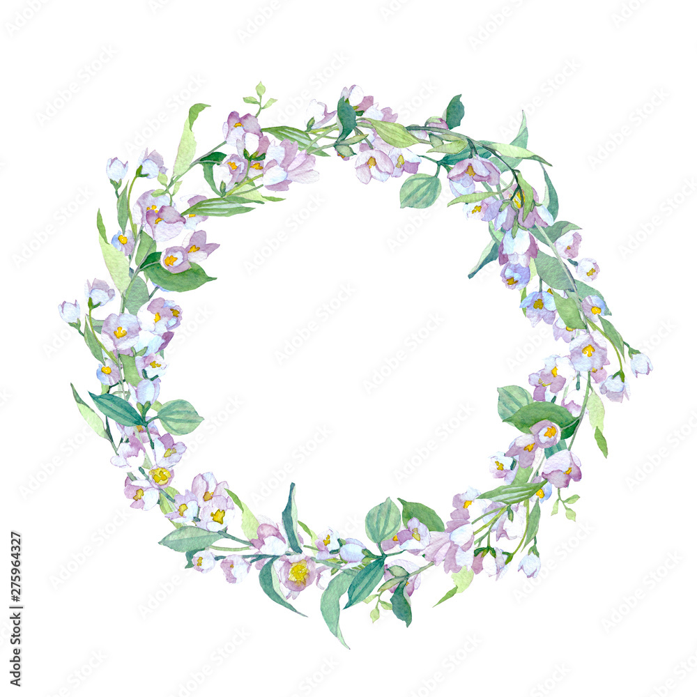 Watercolor illustration with jasmine flowers. Watercolor illustration with jasmine flowers.
