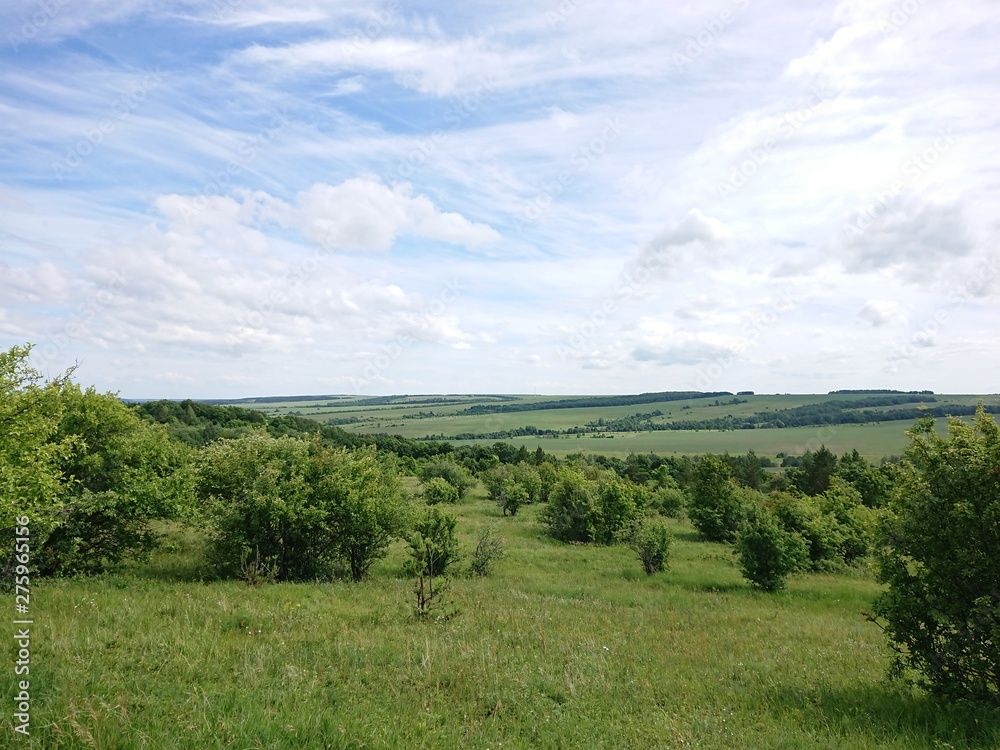 landscape with green field and blue sky