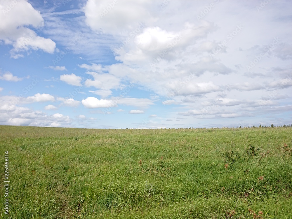 green field and blue sky