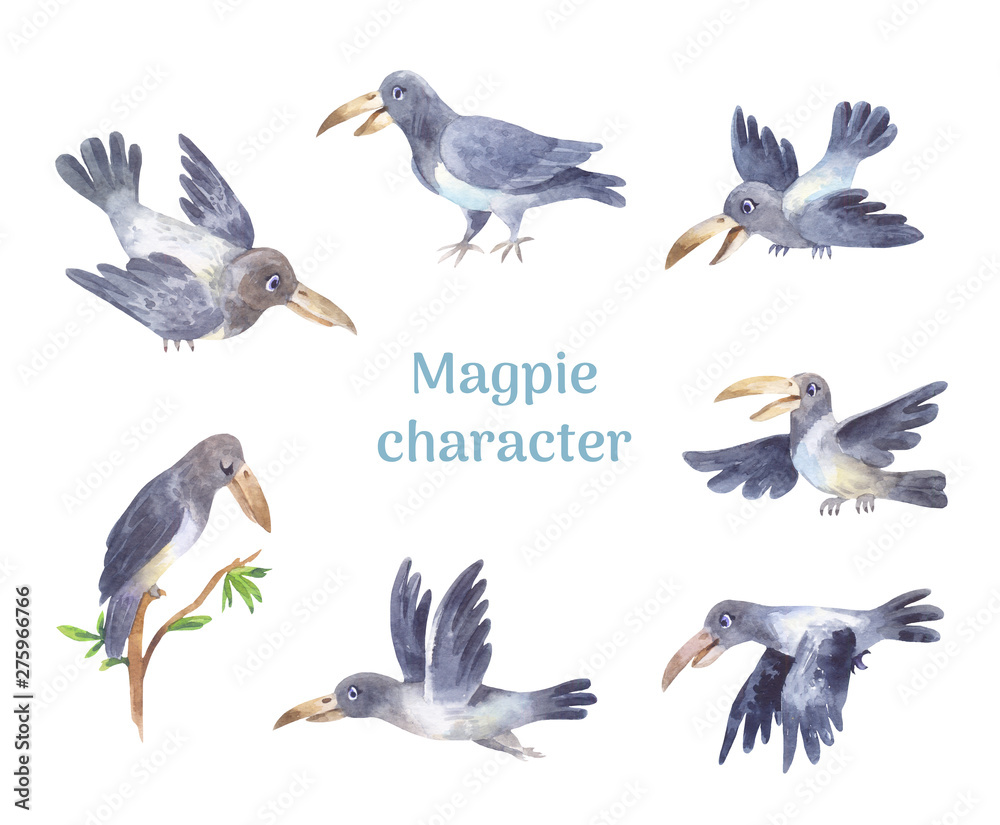 Obraz premium Magpie character, set of poses of grey cute bird