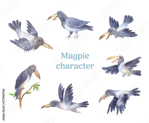 Magpie character, set of poses of grey cute bird