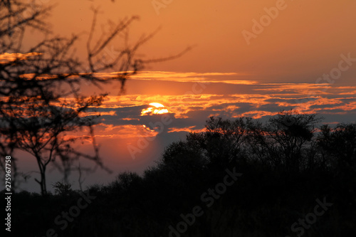 beautiful sunset - Namibia Africa